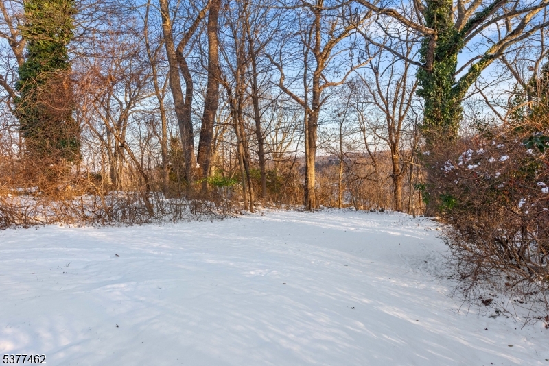 Indian Lake - Residential