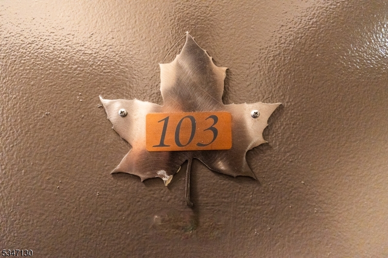 Minerals Resort - Residential