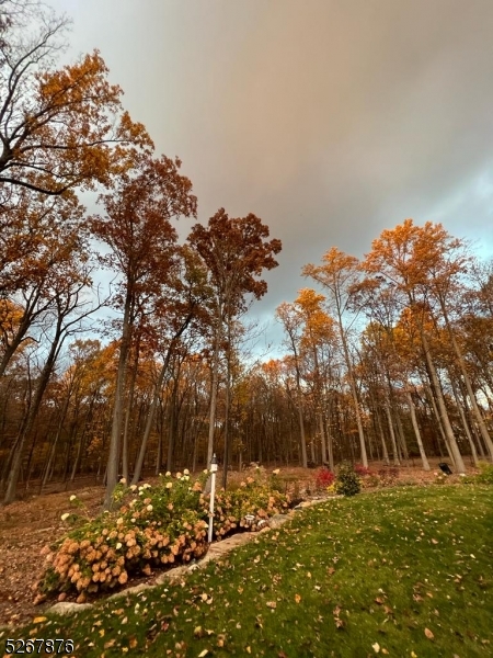 Estate Area - Residential