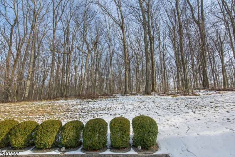 Wyndham Pointe - Residential