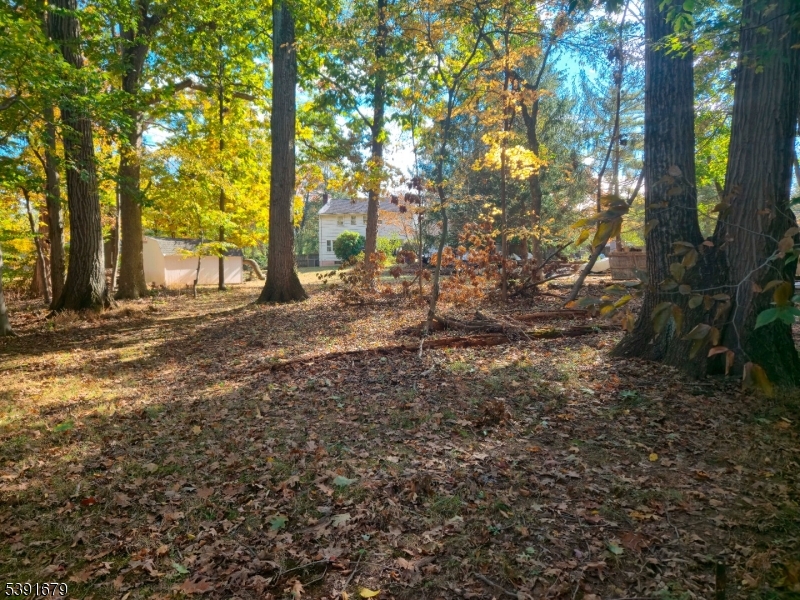 Rippling Brook - Residential