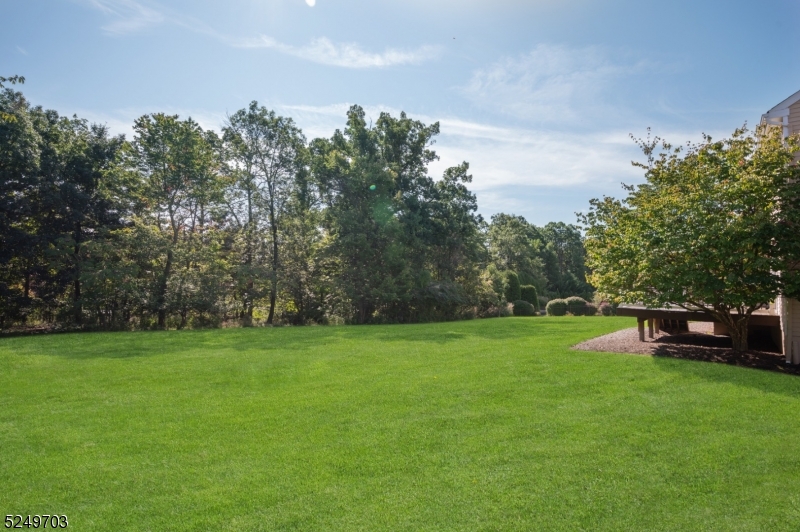 Bel Air - Residential