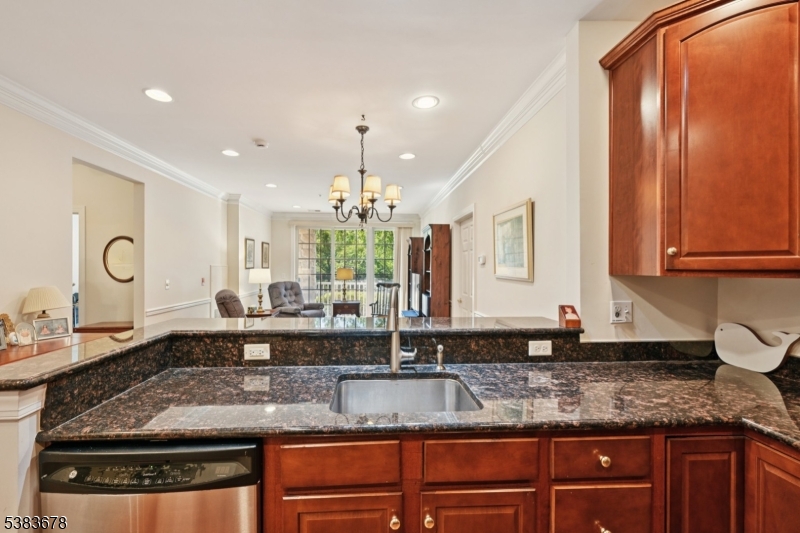 FOUR SEASONS AT BRIDGEWATER - Residential