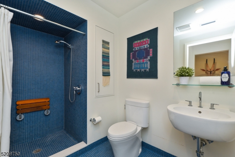 Llewellyn Park - Residential