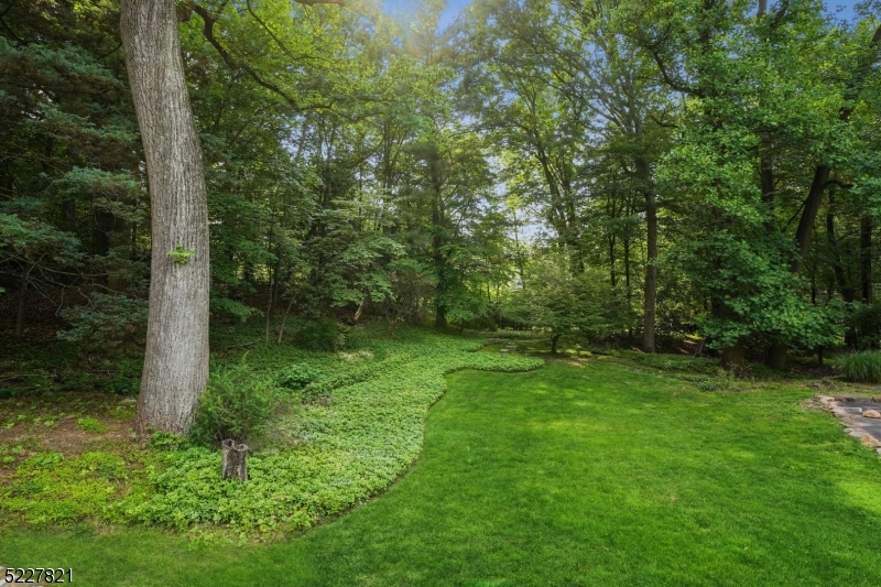 Hasrtshorn - Residential