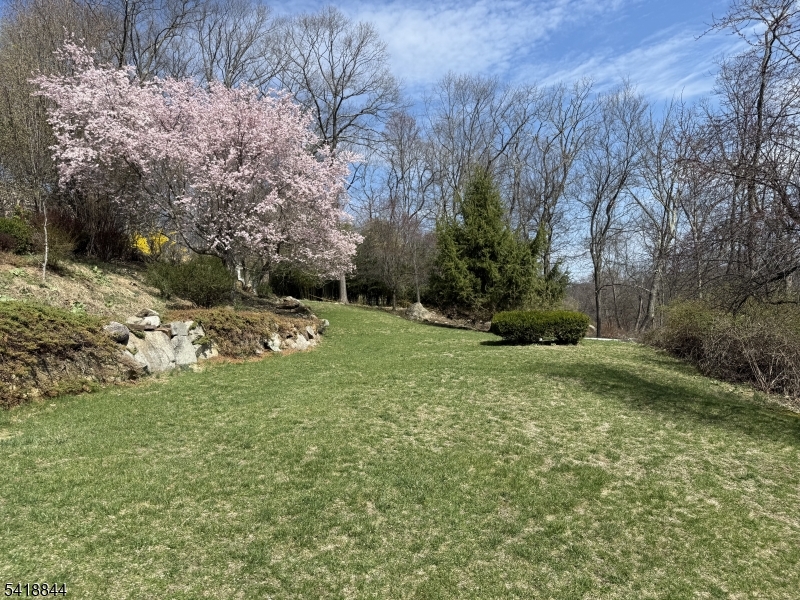 Smoke Rise - Residential