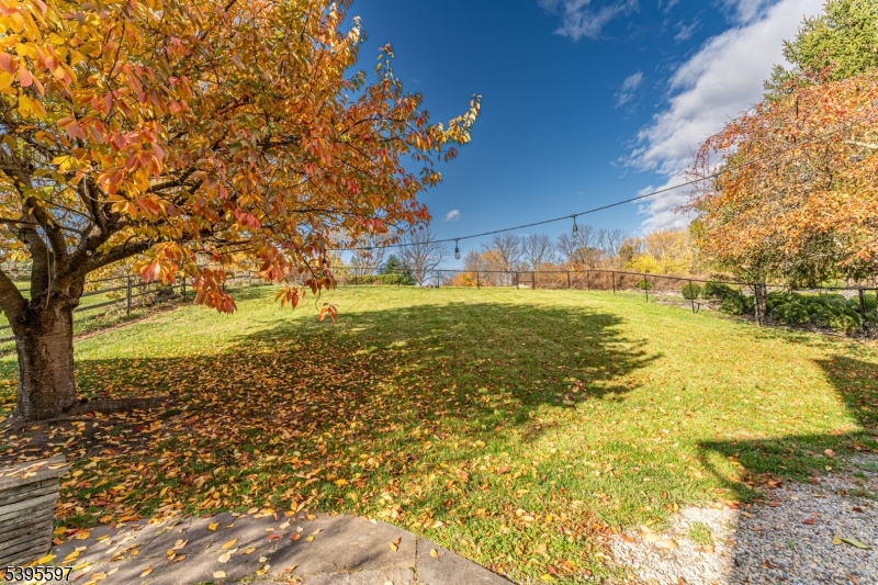 Maple Lawn Farm - Residential