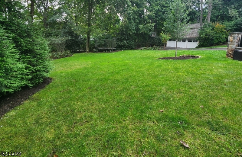 OLD SHORT HILLS - Residential