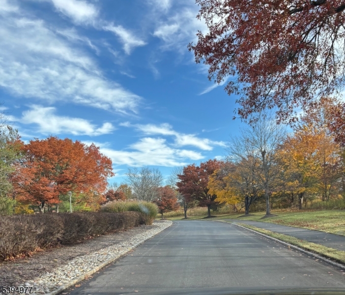 Flemington South Estates - Residential