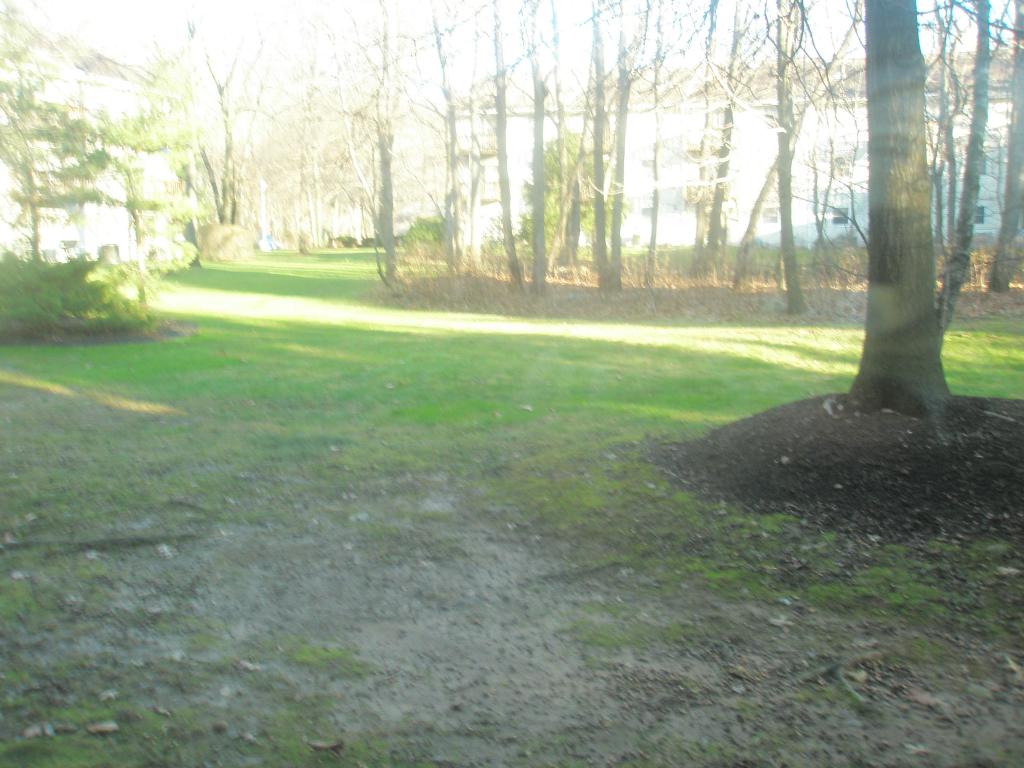 Levinson Plaza - Commercial Lease