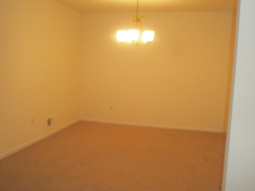 Levinson Plaza - Commercial Lease