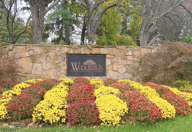 Woodlands condos - Residential