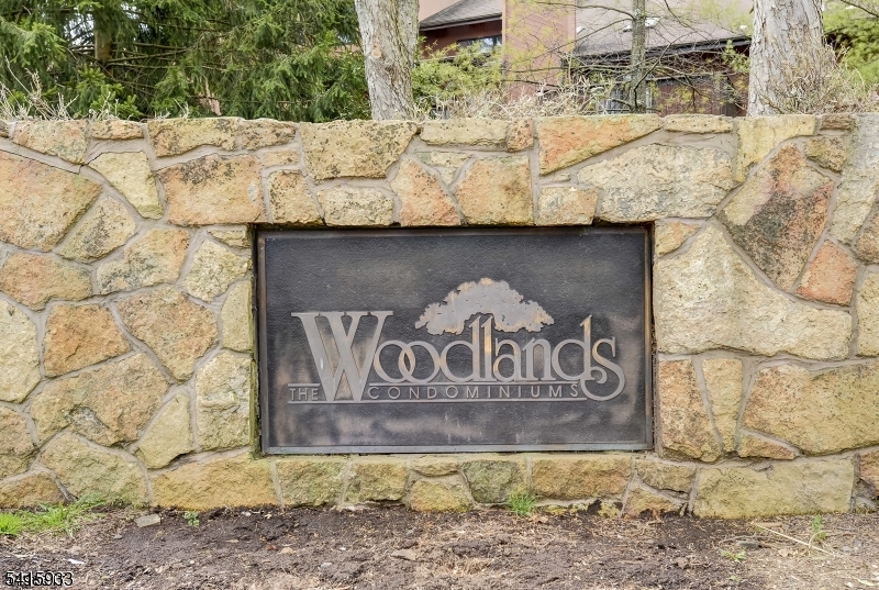Woodlands condos - Residential