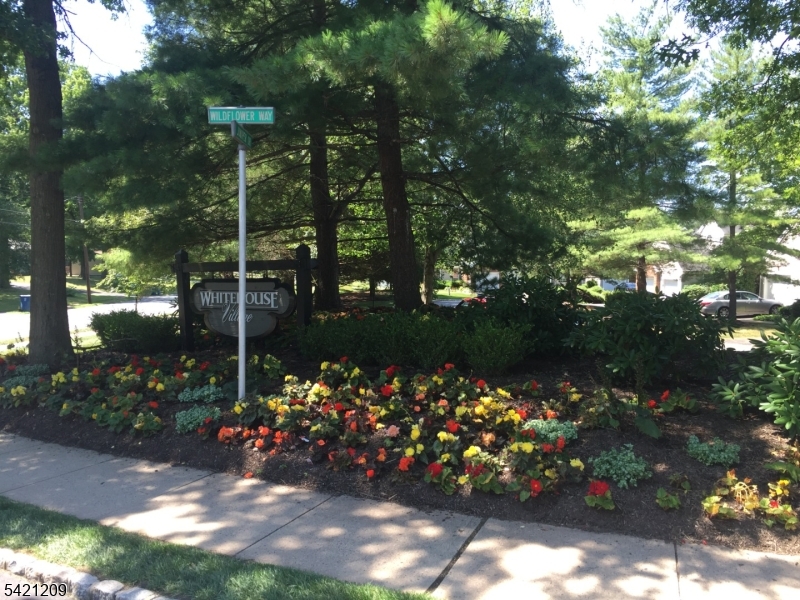 Whitehouse Village - Residential