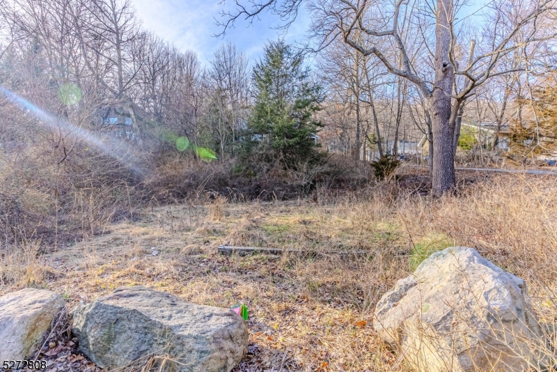 Cedar Lake - Residential