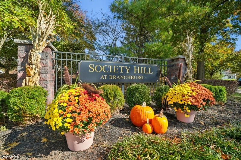 Society Hill - Residential