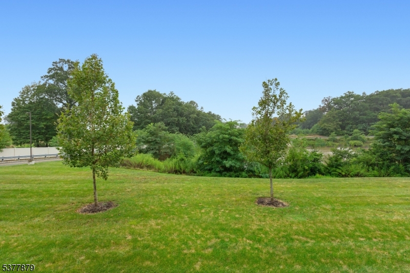 Residences at Columbia Park - Residential