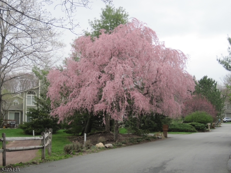 The Fairways - Residential