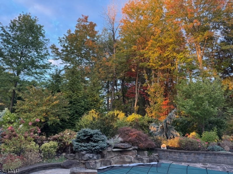 Trailwood - Residential