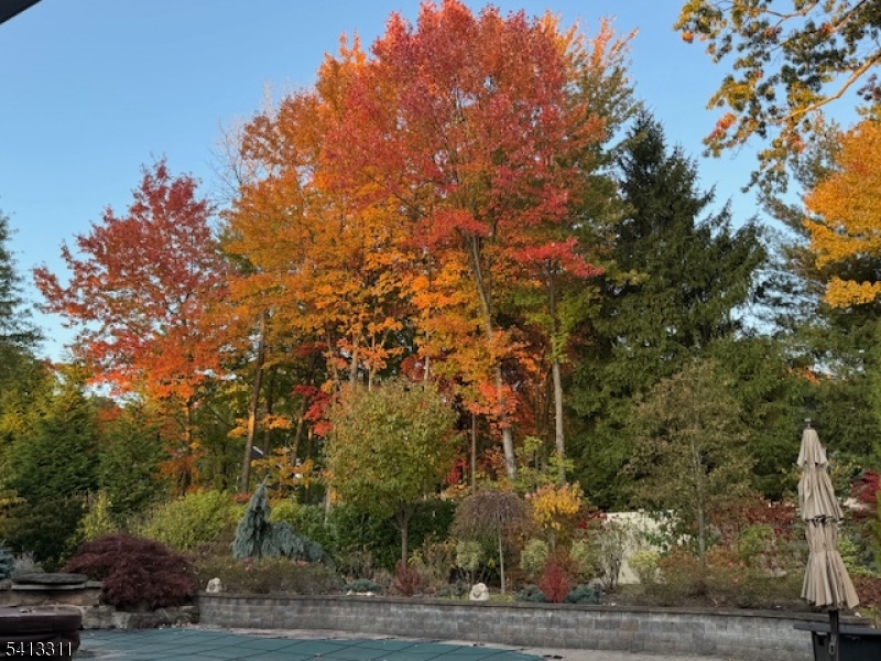 Trailwood - Residential