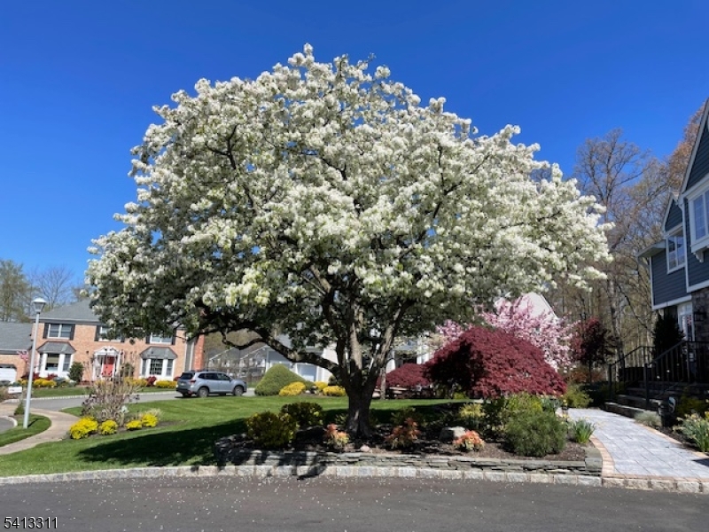 Trailwood - Residential