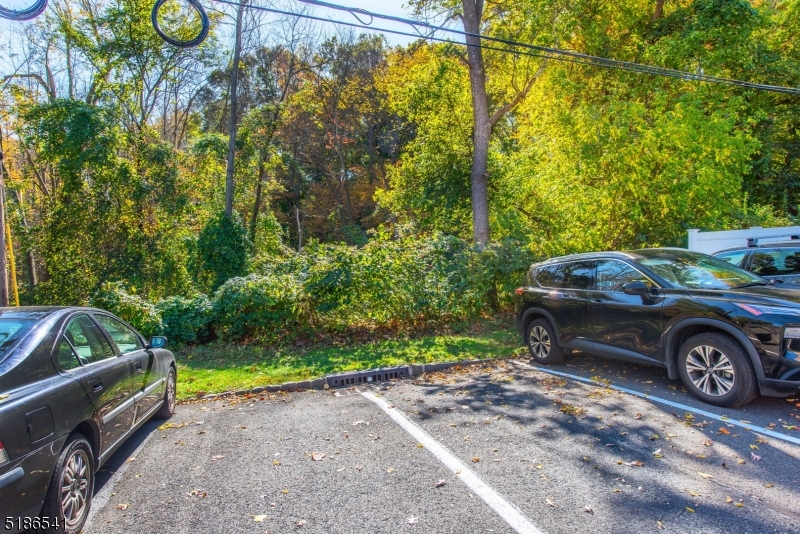 Parsons Village - Residential Lease