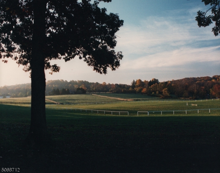 IRENE'S SPRING TREE FARM - Land