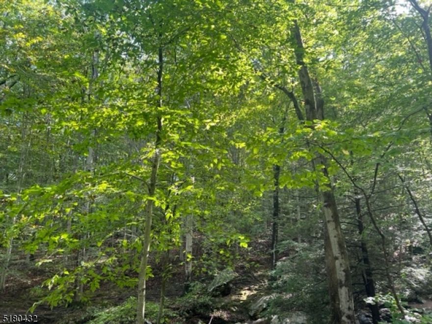 Seize this rare opportunity to own a beautiful parcel of undeveloped land, the perfect canvas for your dream home! Nestled in a serene and picturesque wooded setting, this expansive lot offers endless possibilities for custom home designs and outdoor living spaces