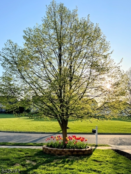 Water's Edge - Residential