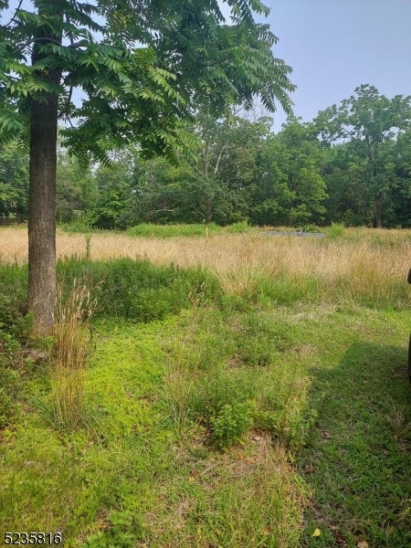 Whitehouse Station - Residential