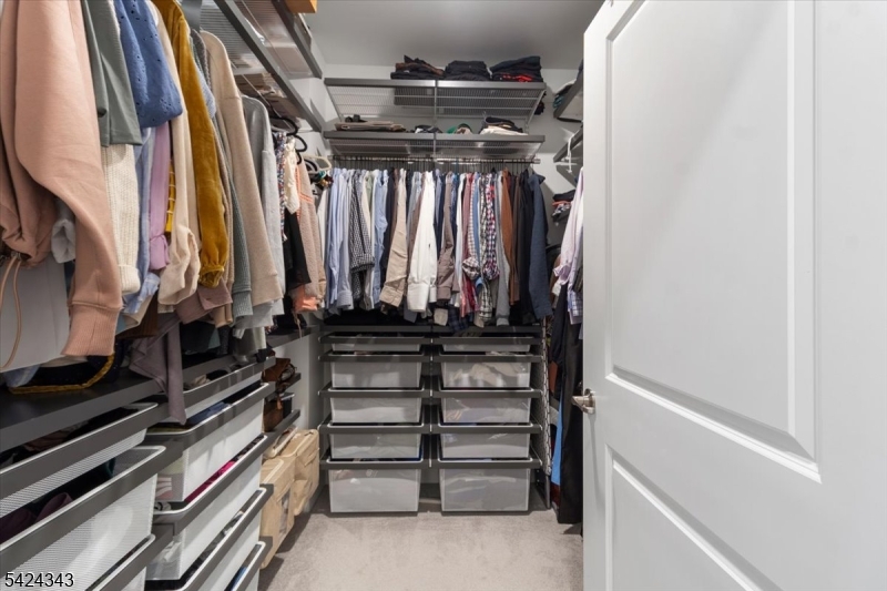 Collection at Morris Plains - Residential