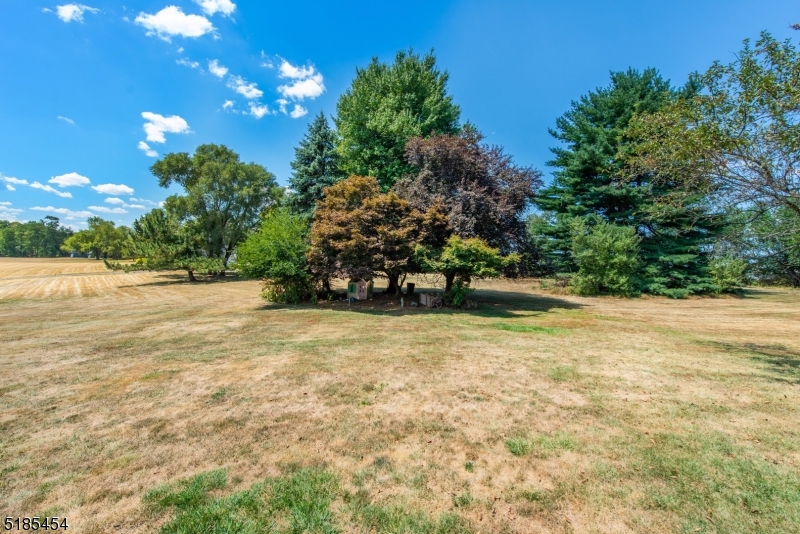 Neshanic Station - Residential