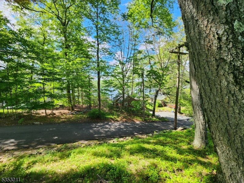 Lake Hopatcong-Raccoon Isl - Residential