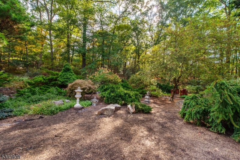 Smoke Rise - Residential