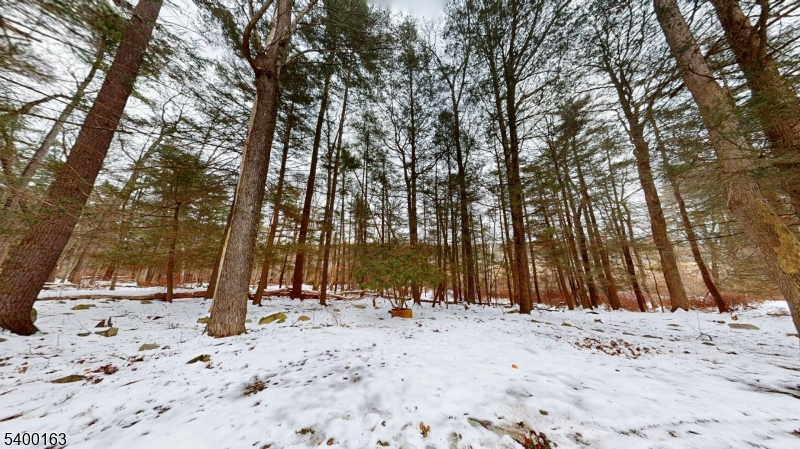 Holiday Lake - Residential