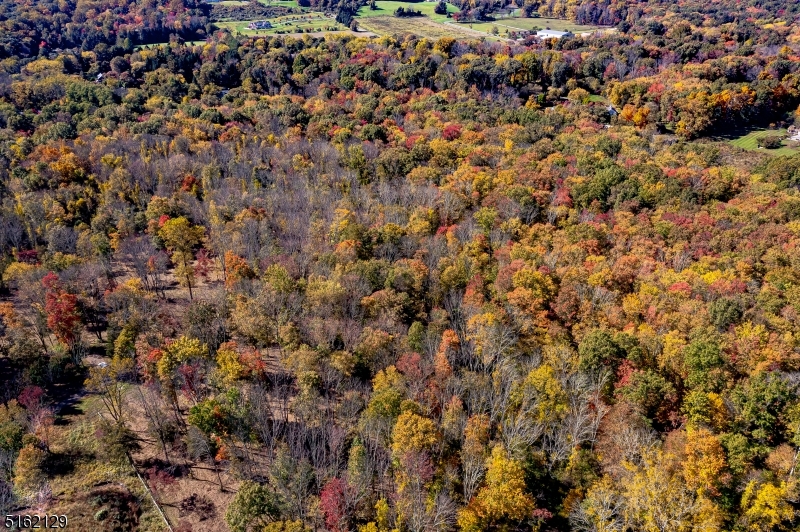 Singing Wood Farm - Land