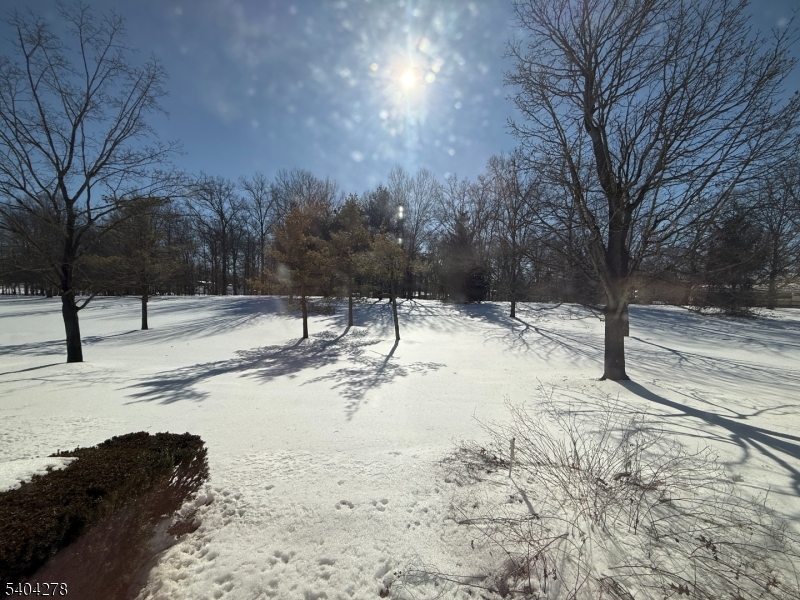 Crossroads - Residential Lease