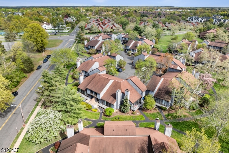 Meadows - Residential