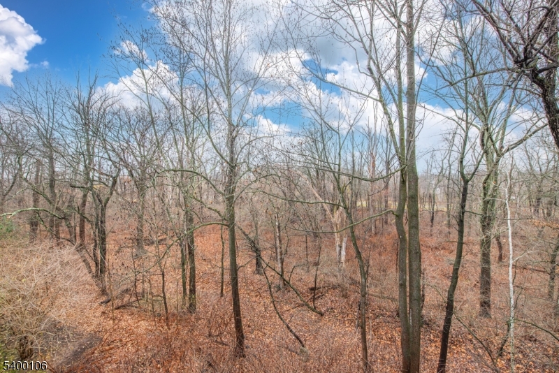 Oak Ridge - Residential