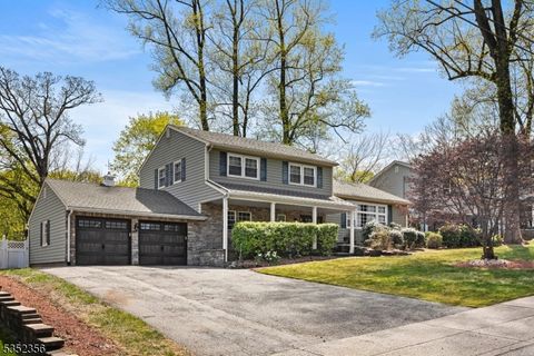 16 Baldwin Ter, Wayne Twp., NJ 07470 - #: 3957922