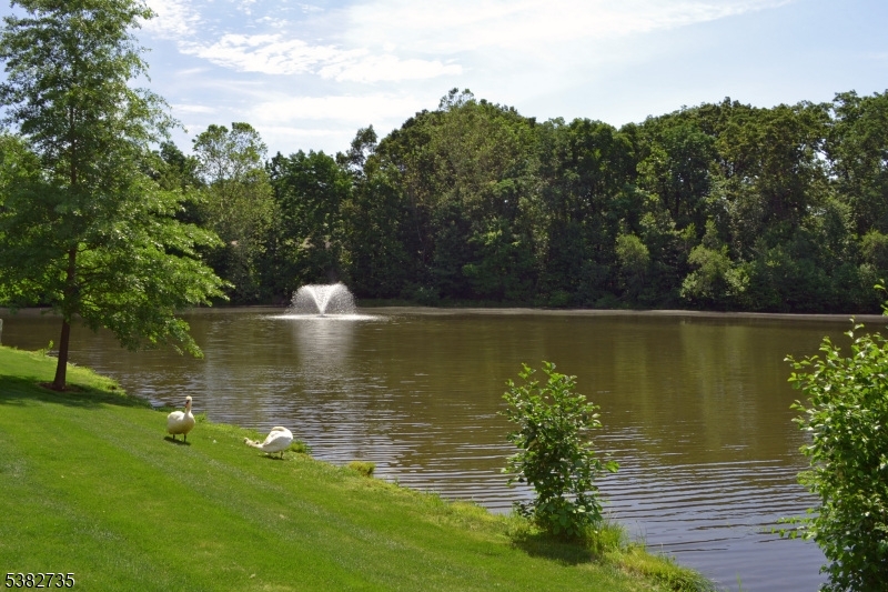 Cambridge Heights - Residential