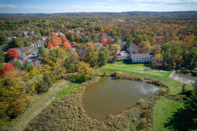 Bernards Twp., New Jersey 07920, United States, 1 Bedroom Bedrooms, ,1 BathroomBathrooms,Residential,Pending,79394