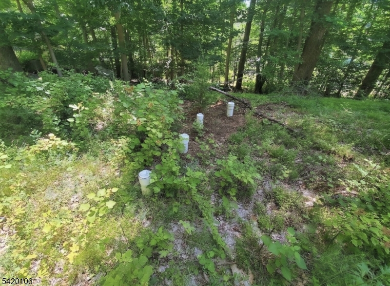 Hidden Valley - Land