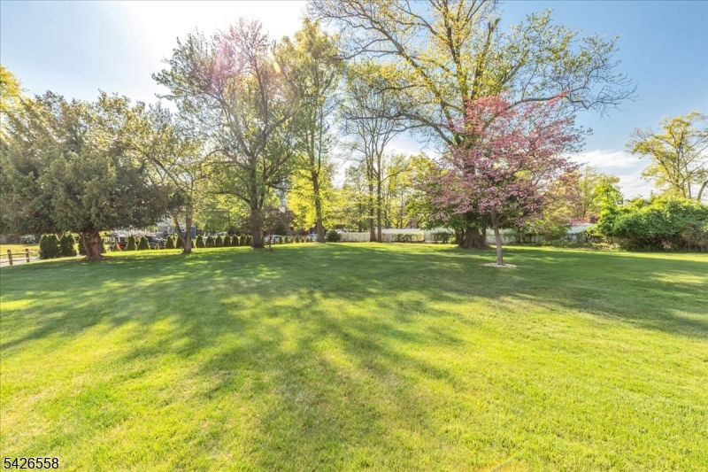 Van Wyck Historic - Residential