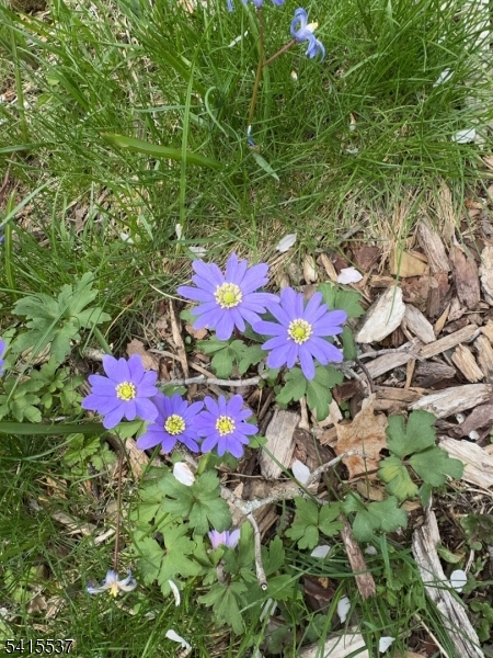 Diamond Hill - Residential