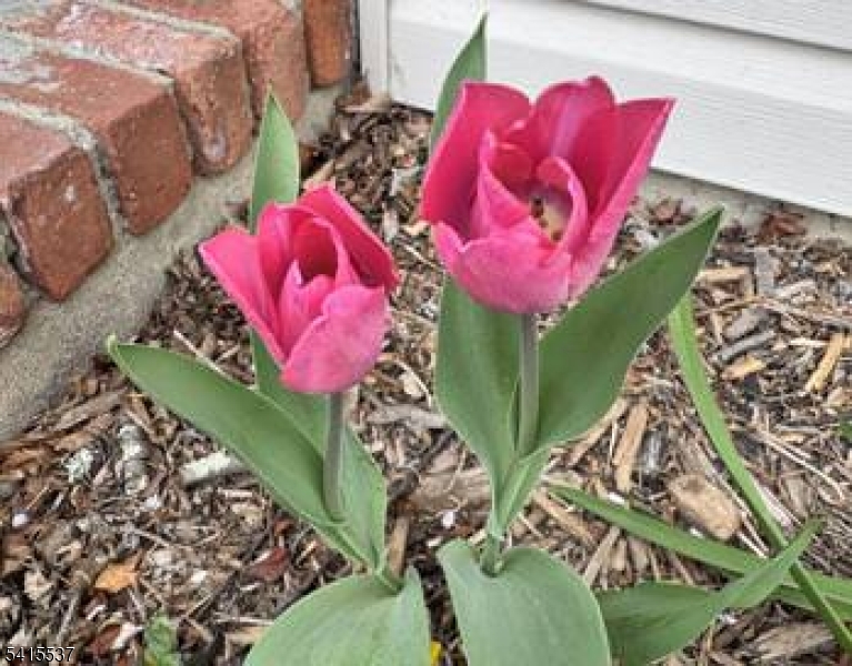 Diamond Hill - Residential