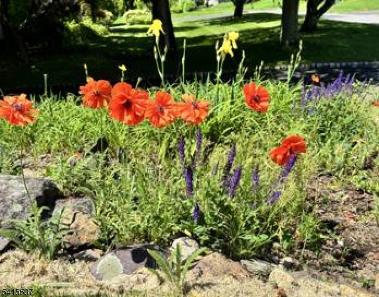 Diamond Hill - Residential