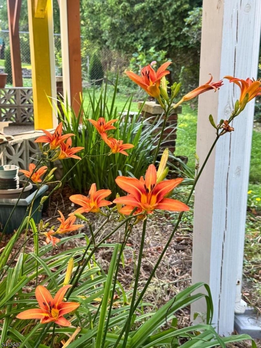 Diamond Hill - Residential