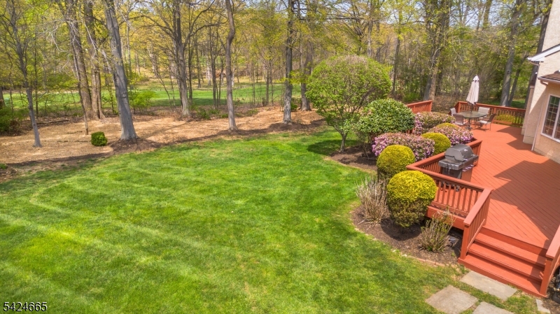 INDEPENDENCE HILLS - Residential