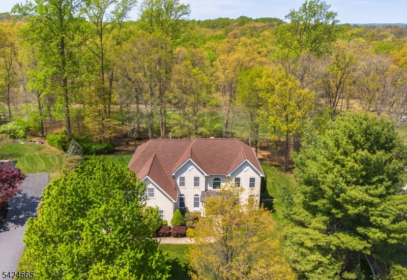 INDEPENDENCE HILLS - Residential